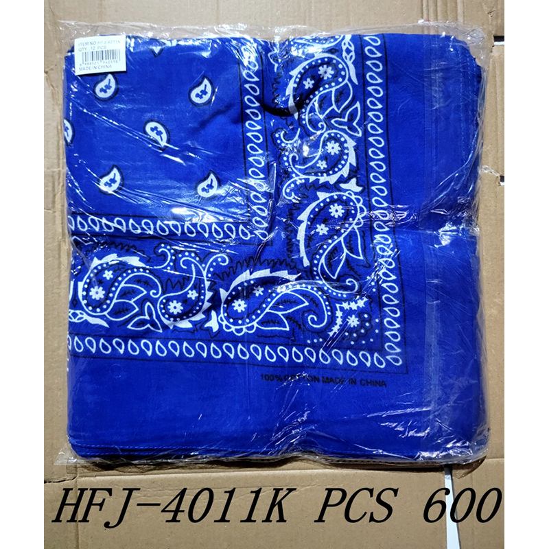 HFJ-4011K CS600